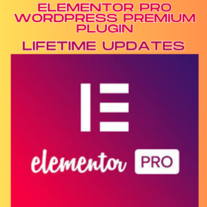 Elementor Pro WordPress Plugin.
